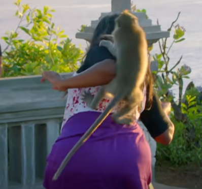 Необъяснимая агрессия обезьян. Что это — месть людям или сбывающееся пророчество Аллана Чумака? Редко кто отваживается досмотреть видео до конца (18+)