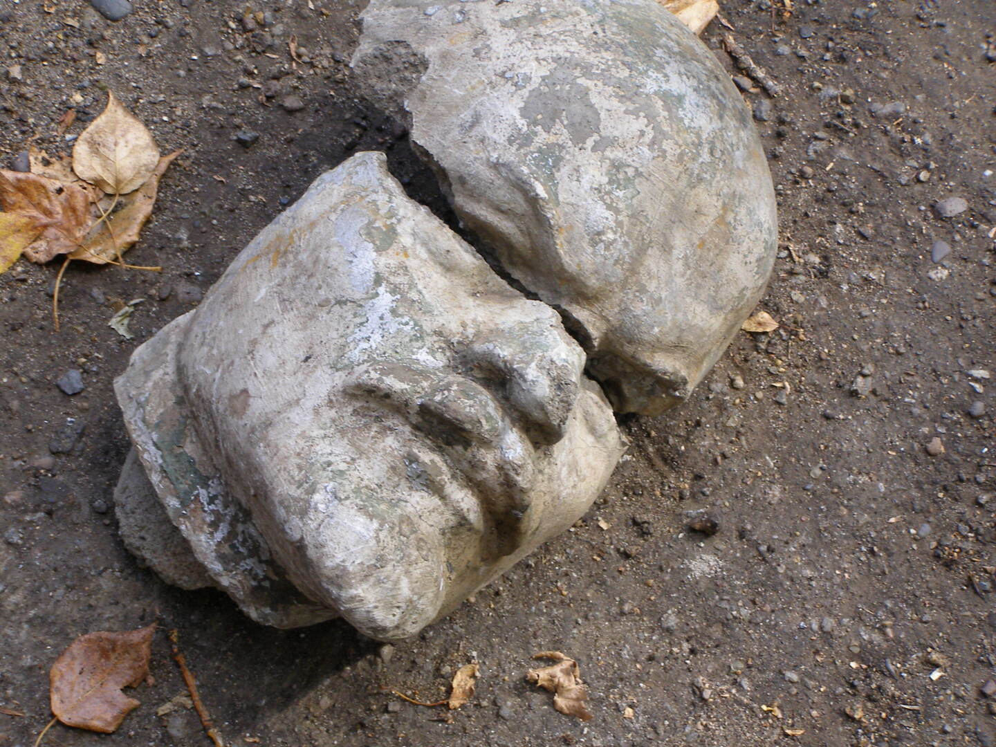 А Вы Ленина видели?