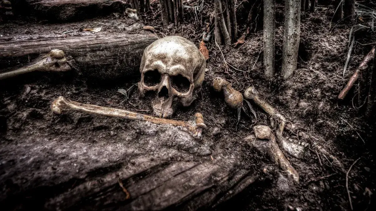 Бросили младенцев: под Новосибирском 13-летний школьник нашел скелеты новорожденных детей