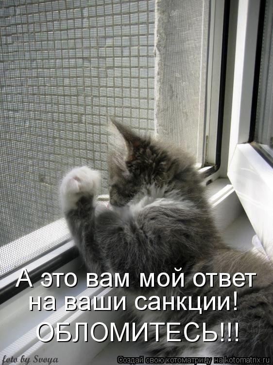 О санкциях с улыбкой