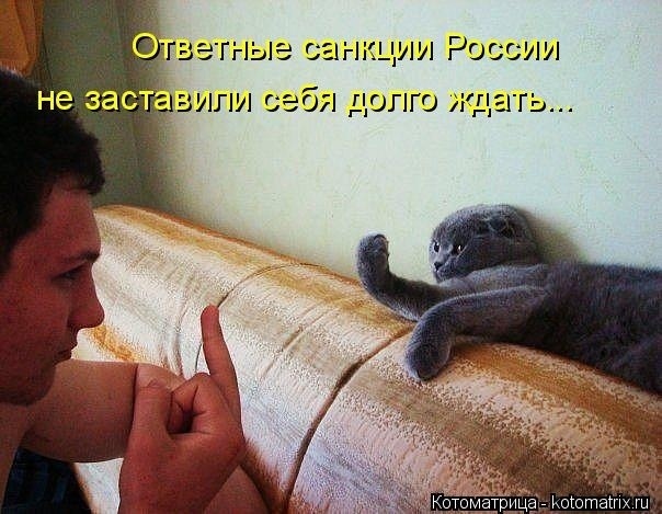 О санкциях с улыбкой