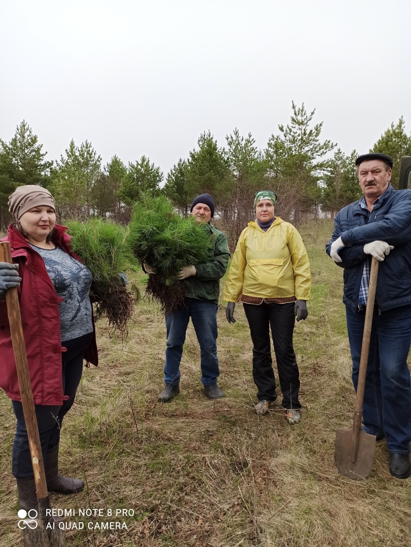 Посади своё дерево. Акция «Сад памяти»