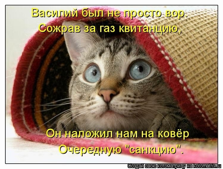 О санкциях с улыбкой