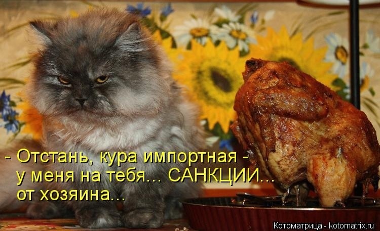 О санкциях с улыбкой