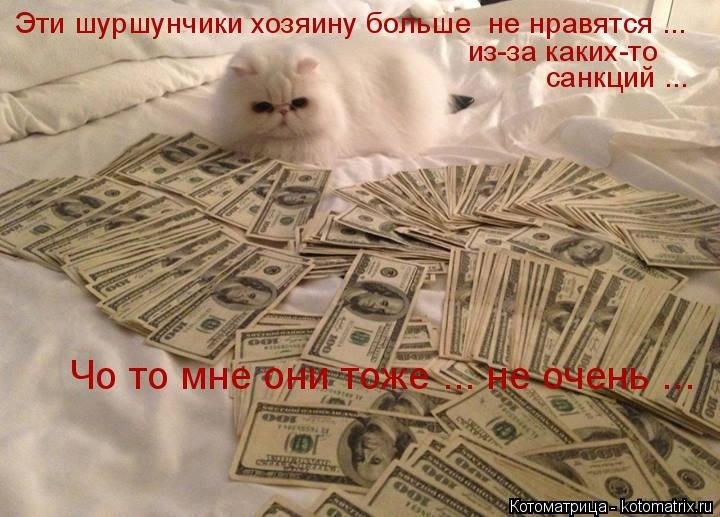 О санкциях с улыбкой