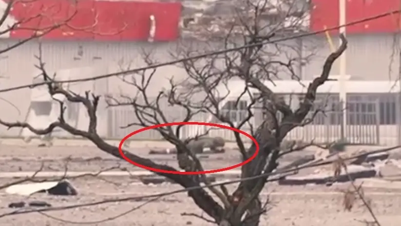 «Давай, братишка, давай!» Раненый российский морпех ползет под огнем азовцев лишь бы не сдаваться им в плен. Видео