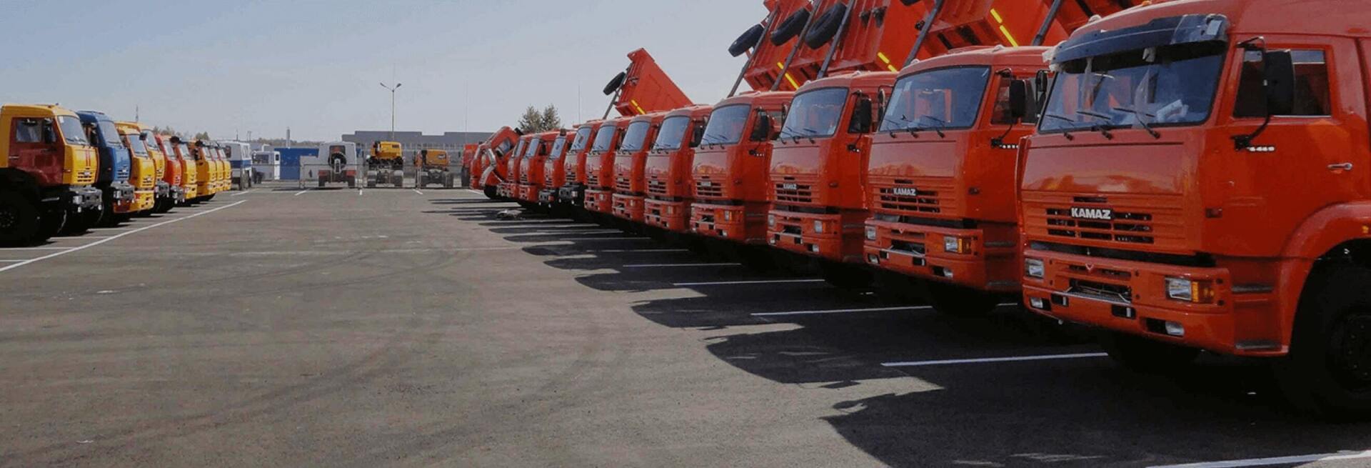 Закрома Родины — чем богаты, тому и рады