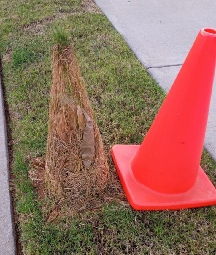 8 людей, у которых была всего одна задача - и они провалили и её