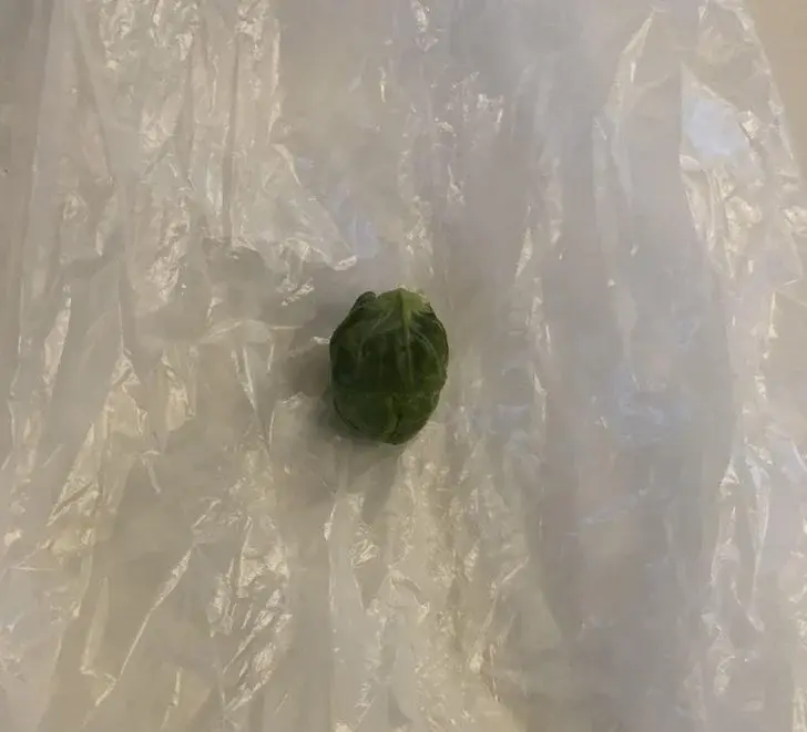 8 людей, у которых была всего одна задача - и они провалили и её