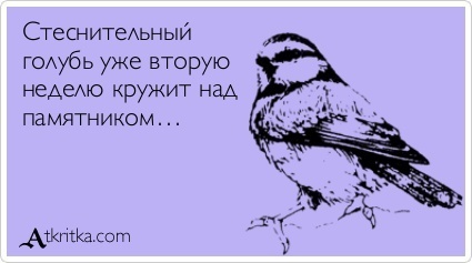 Подборка прикольных открыток