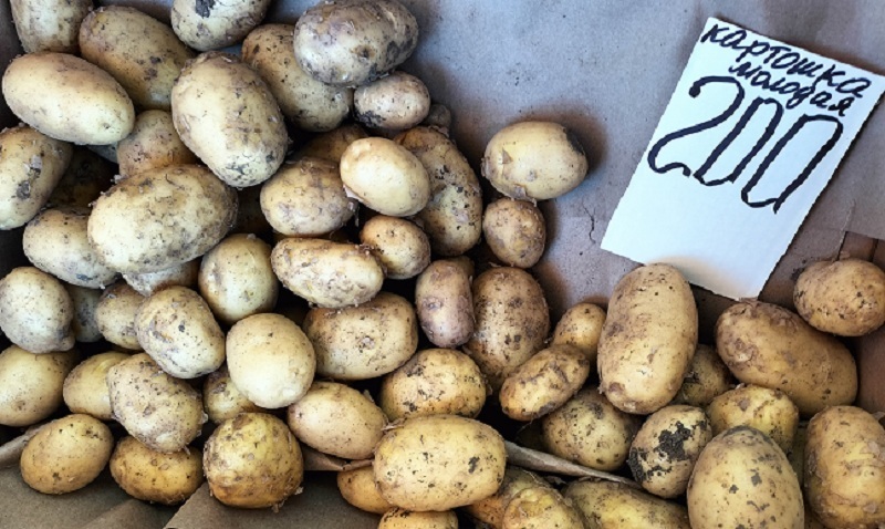 Не поверили своим глазам. Как в два раза снизилась цена на подсолнечное масло и выросла на местную молодую картошку