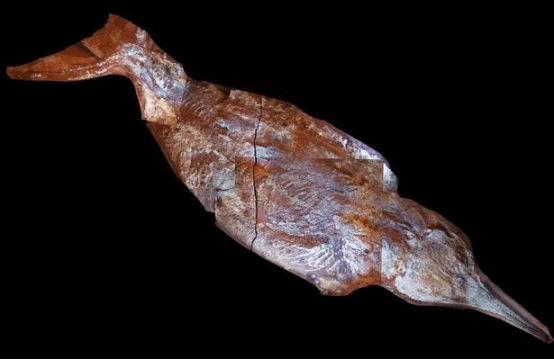 В Альпах обнаружен гигантский зверь.