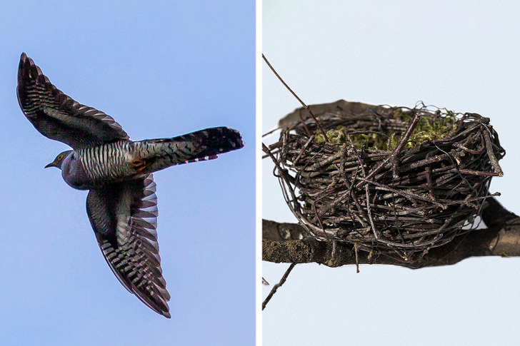 Попробуйте угадать названия популярных литературных произведений лишь по двум фотографиям