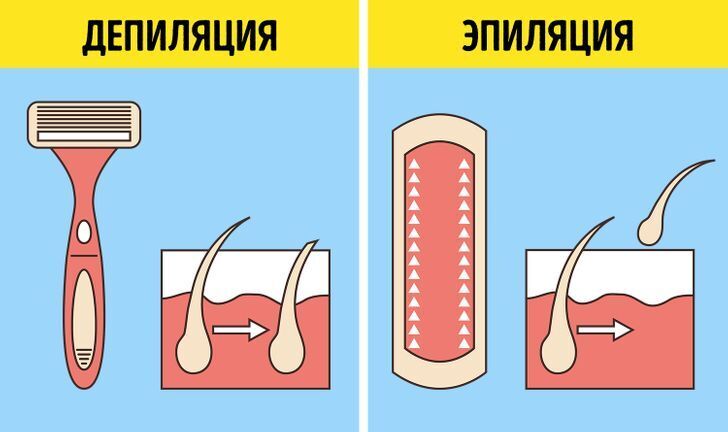10+ пар слов, которы мы часто путаем