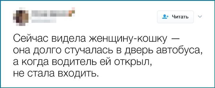 10+ метких твитов, в которых каждая женщина узнает себя