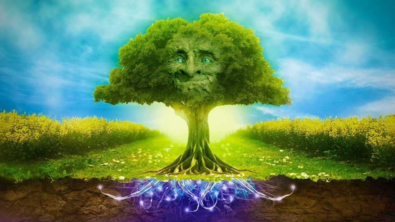 Есть ли Бог на свете? Что такое душа? Вопросы детсадовки