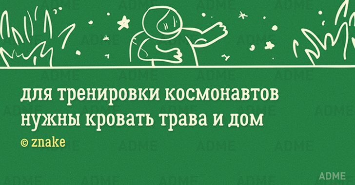 10+ малюсеньких стишков-«пирожков» для поднятия настроения