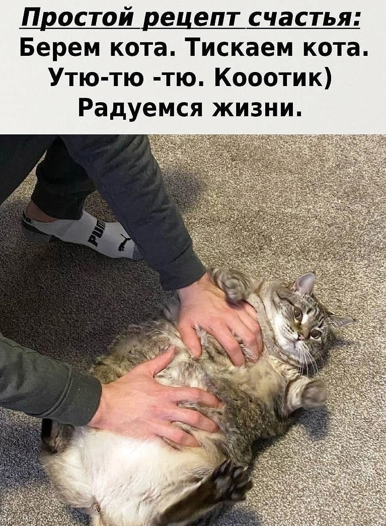 Мой девиз - ходить по солнечной стороне жизни