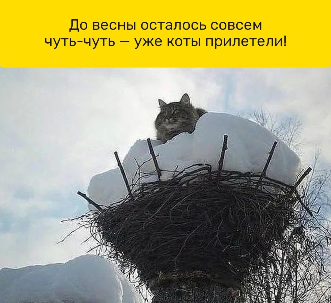 Мой девиз - ходить по солнечной стороне жизни