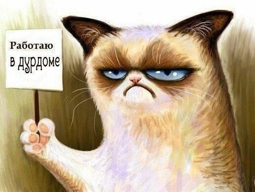 Мой девиз - ходить по солнечной стороне жизни