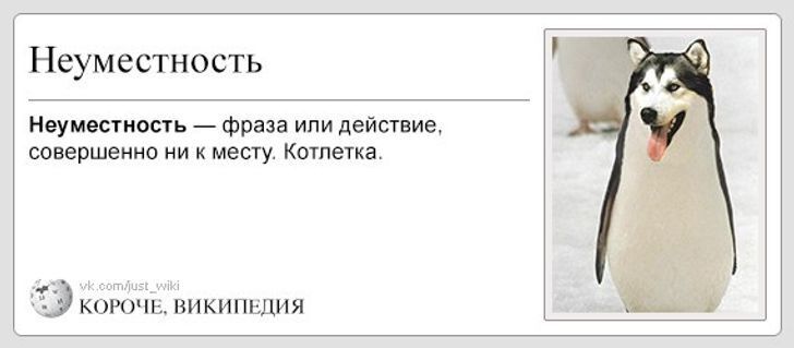 Цитаты из альтернативной Википедии