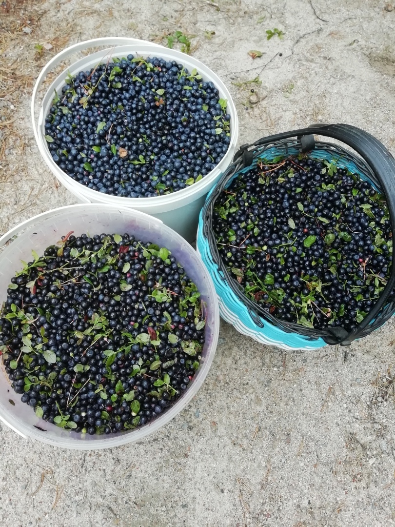 Как накопить миллион!? Как быстро накопить миллион !? Советы как быстро накопить миллион! Только личный опыт.