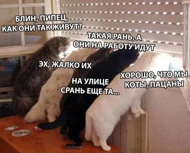 Сборная солянка из соцсетей