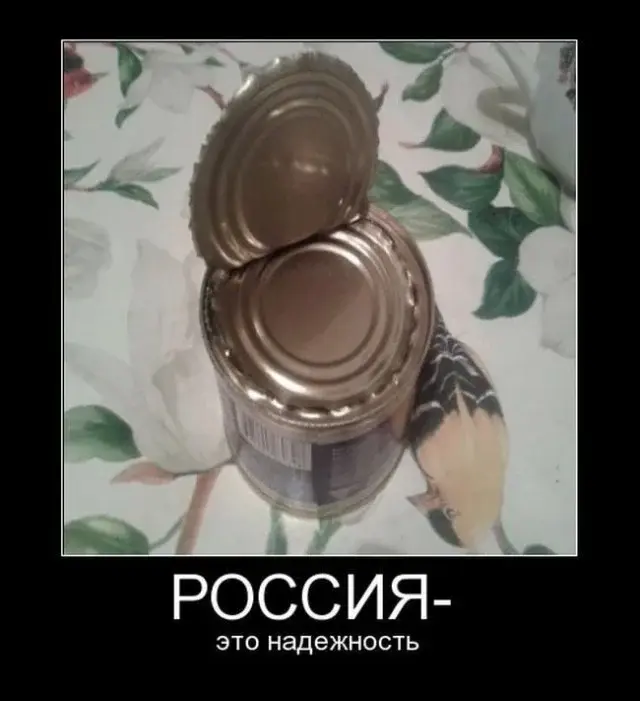 Сборная солянка из соцсетей