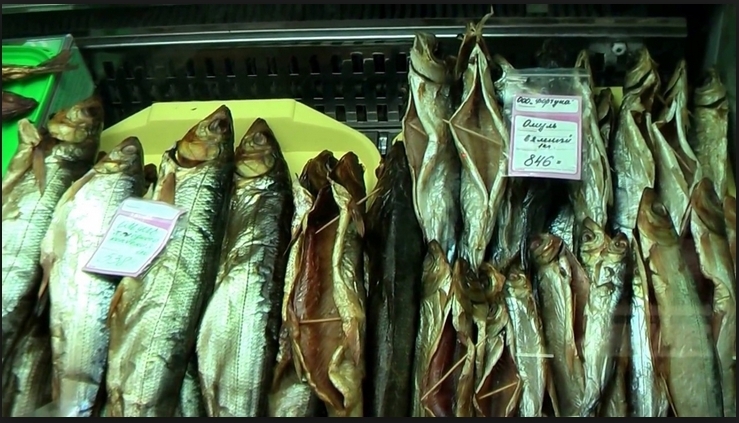 Краткий отчет по рабочим командировкам 2004-2006гг