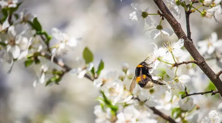 Приметы на 3 мая: что нельзя делать в Радоницу