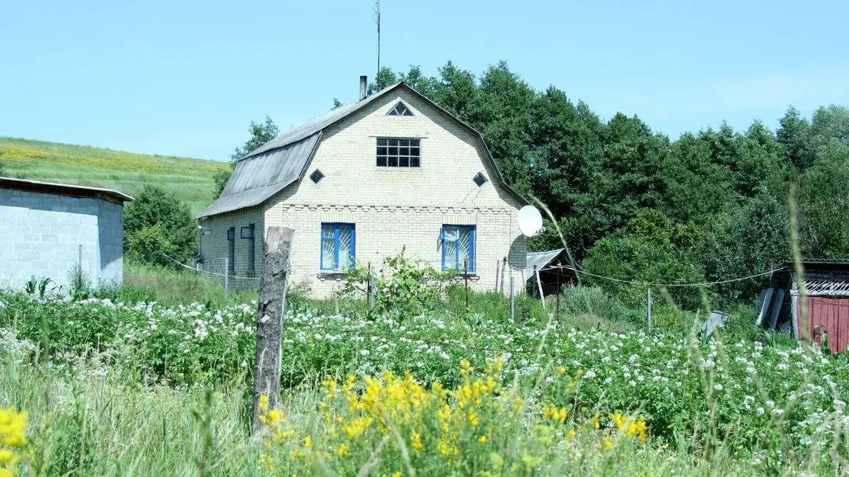 Штрафы дачников в 2022 году: за что оштрафуют российских садоводов и огородников уже с мая на 500 млн рублей - последние новости