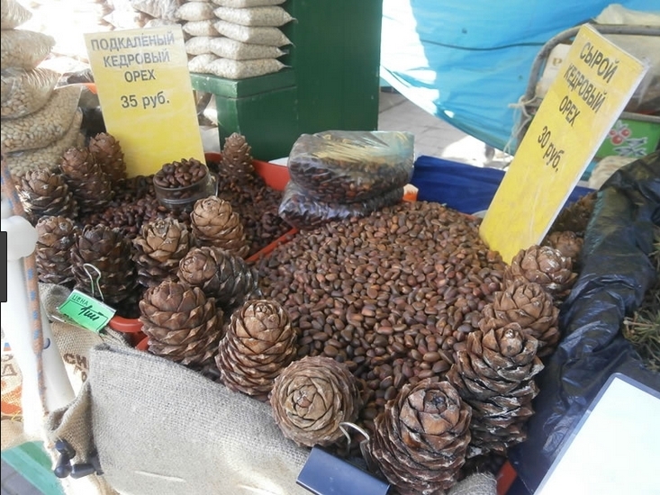 Краткий отчет по рабочим командировкам 2004-2006гг