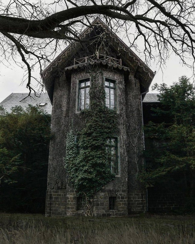 Aтмоcфеpные снимки мecт, гдe большe нeт людeй.