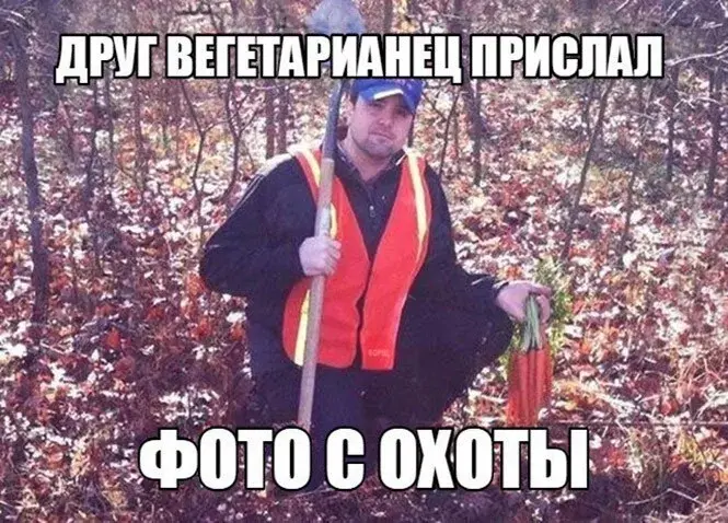 Сборная солянка из соцсетей