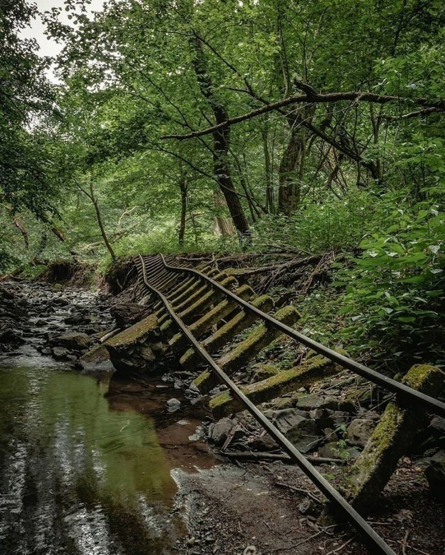 Aтмоcфеpные снимки мecт, гдe большe нeт людeй.