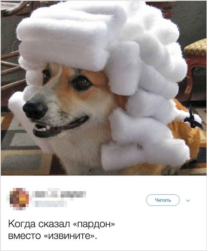 10+ твитов от людей, у которых всё в порядке с воображением