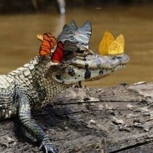 Светлана, г. Москва