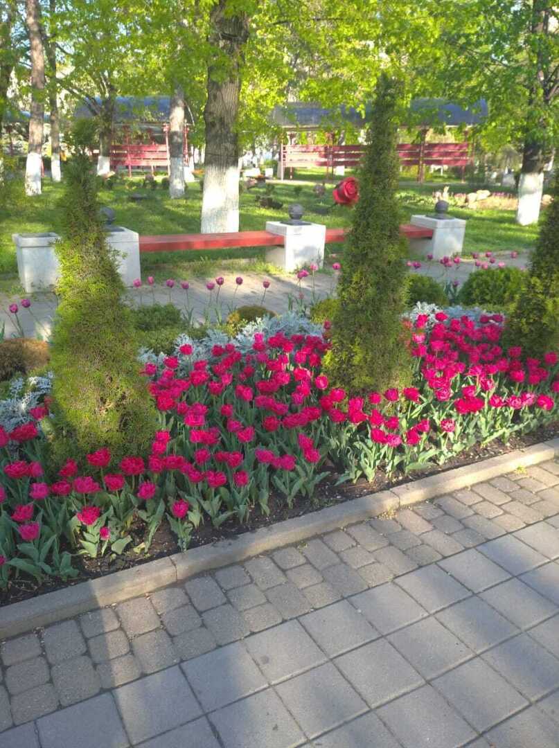 Армавирский парк. Красота!❤️❤️❤️