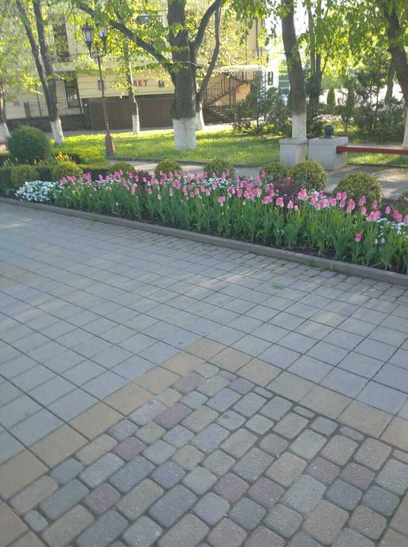 Армавирский парк. Красота!❤️❤️❤️