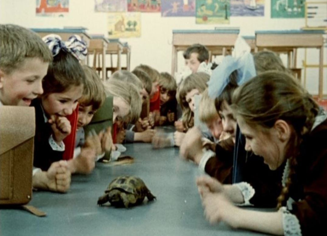 Какой кадр лишний? (4)