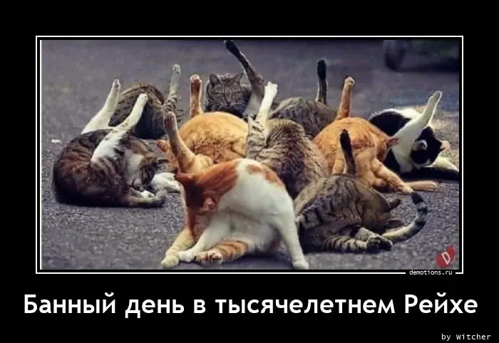 Подборка картинок