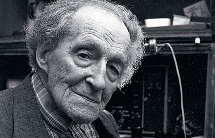 Голос Термена