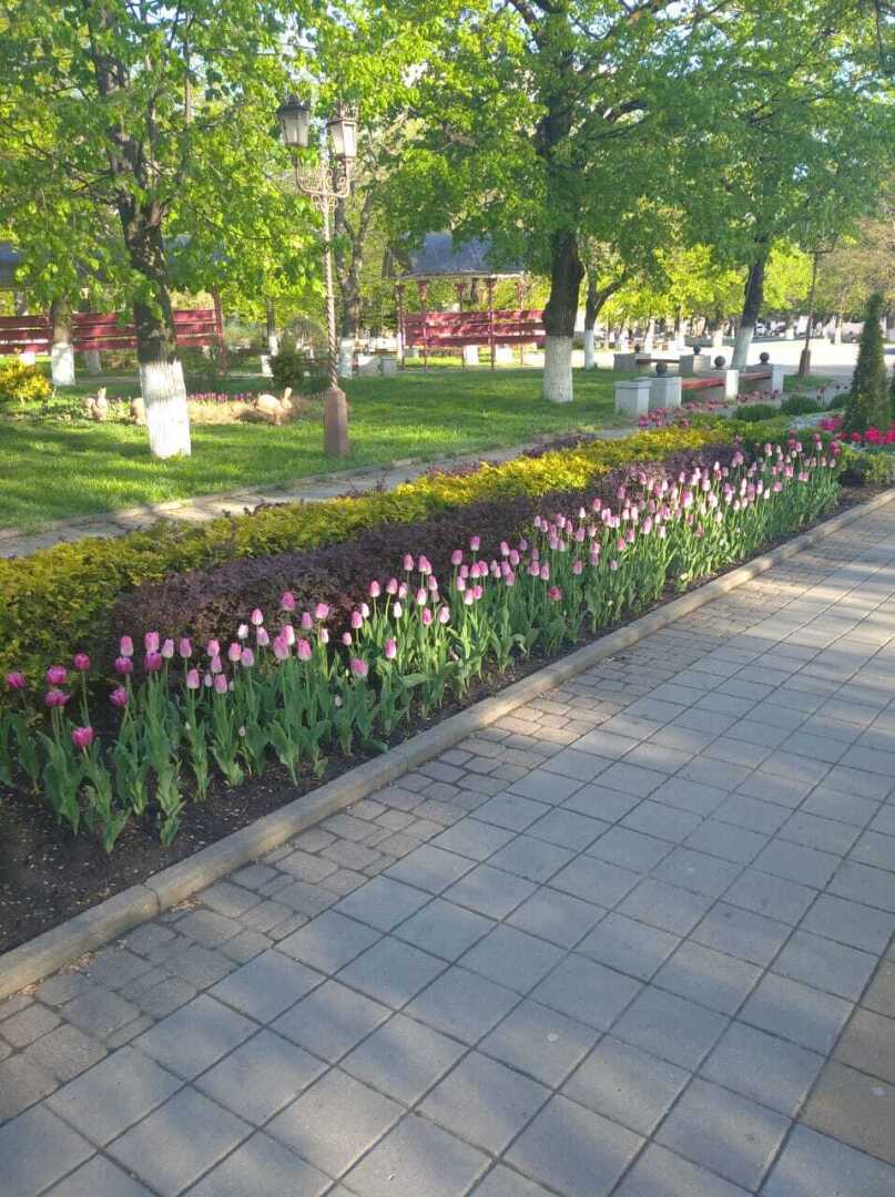 Армавирский парк. Красота!❤️❤️❤️