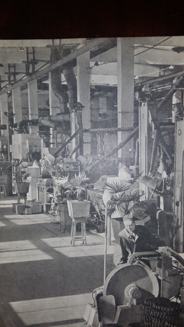 Кубань, 1966 год, старые фото. Для кого-то волнительно, а для кого – интересно. Летающая "галоша" опрыскивает сады!