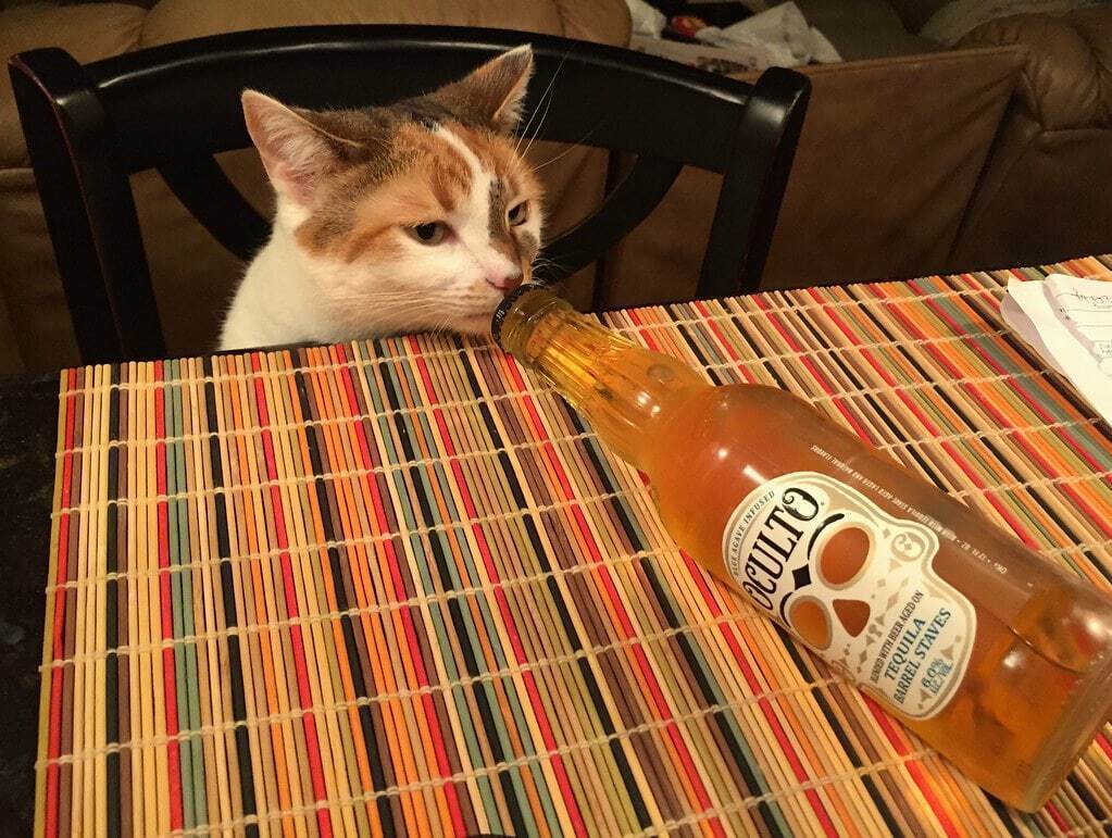 Украинские хакеры попытались оставить россиян без алкоголя.