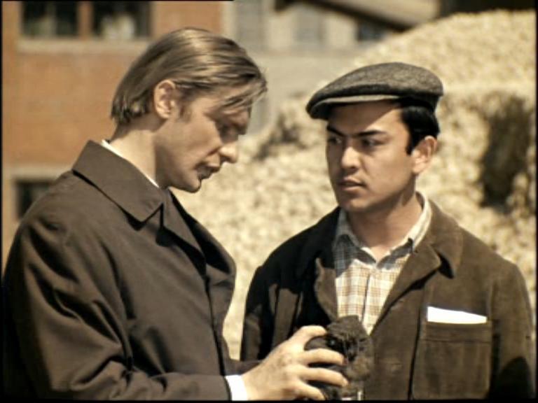 Какой кадр лишний (7)