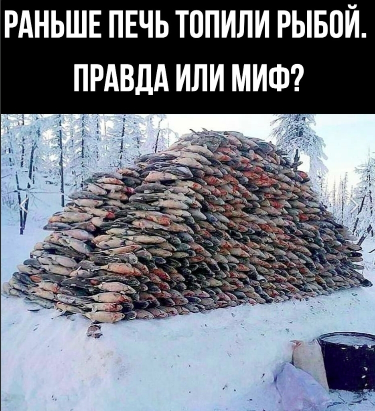 Раньше печь топили рыбой. Правда или миф