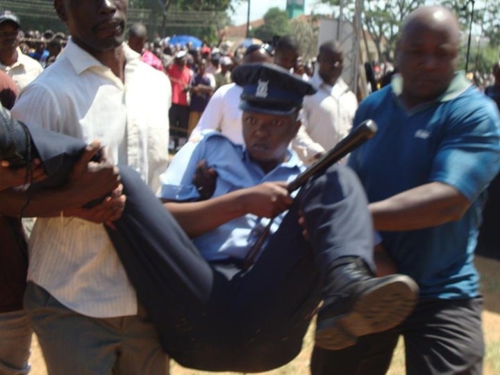 Новая серия изображений, которые заставят тебя сделать: "Хмммм" 🤔