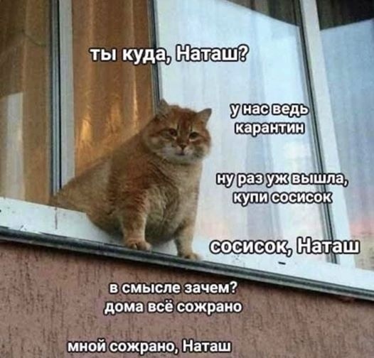 Господа, ваше веселье оскорбляет чувства паникующих