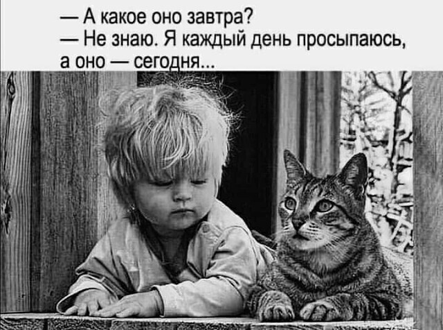 Господа, ваше веселье оскорбляет чувства паникующих